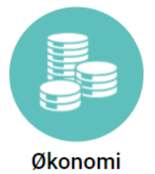 Økonomi modul